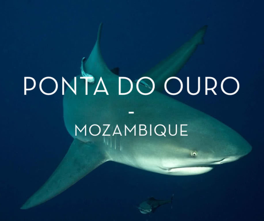 ponta