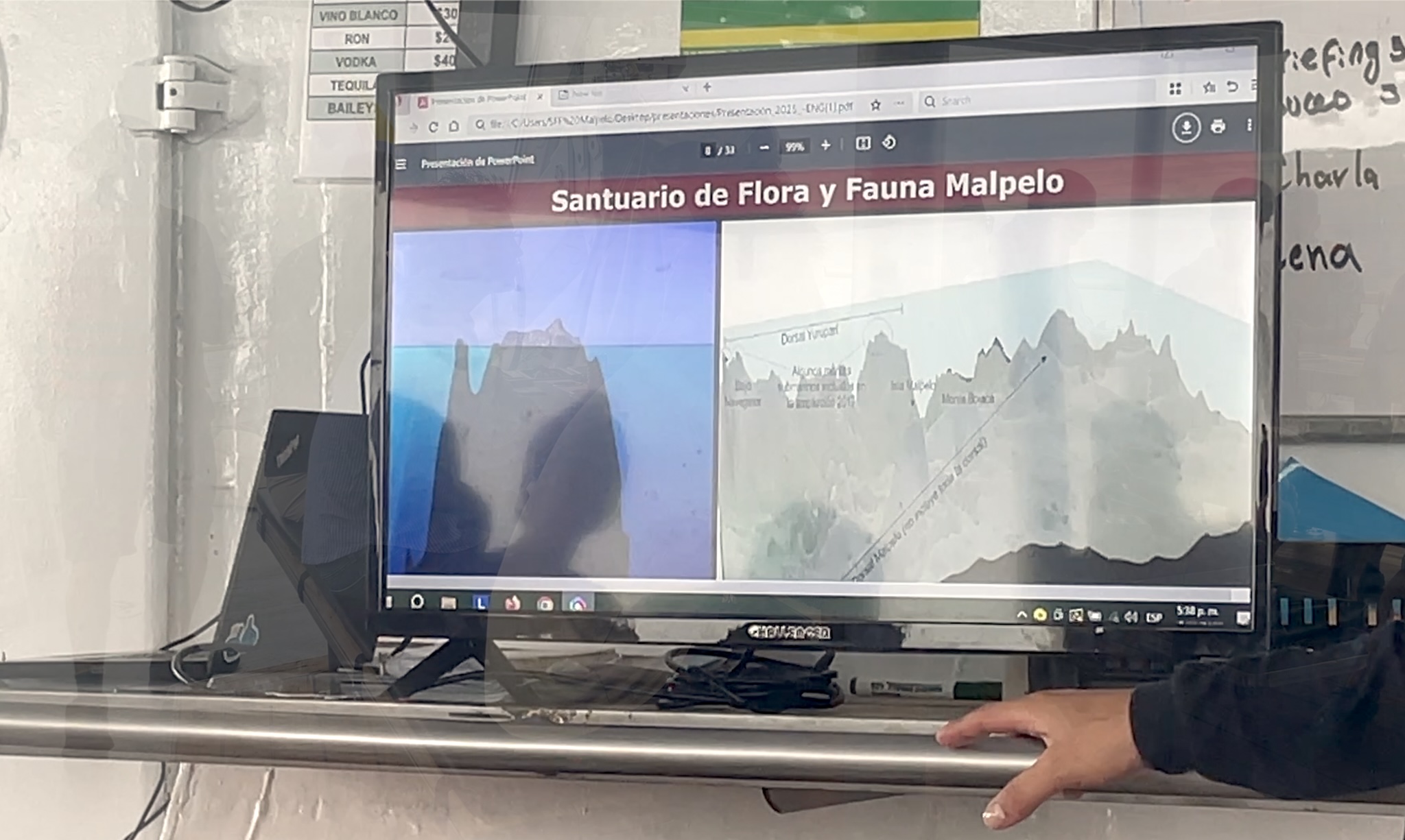 Malpelo topography