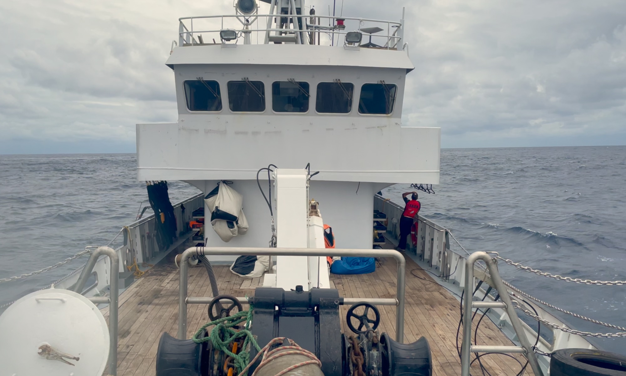 vivax liveaboard in Malpelo