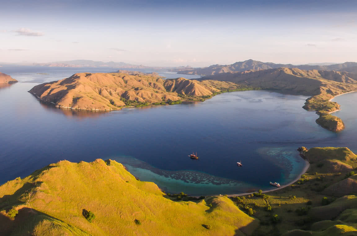komodo