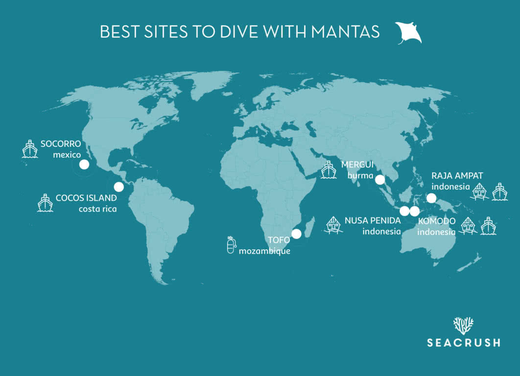 Places to dive with mantas" class="img-fluid my-3