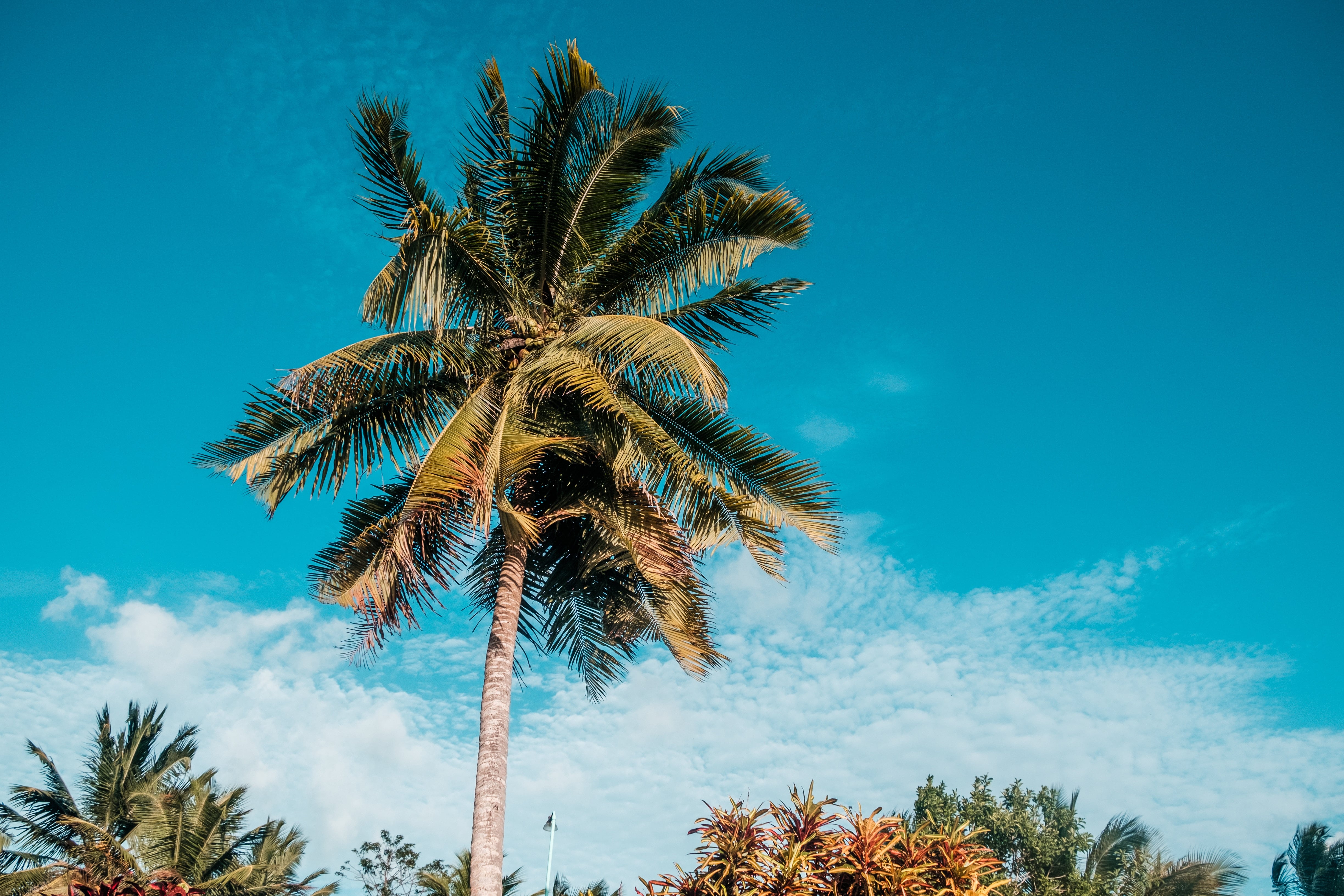 placencia in belize