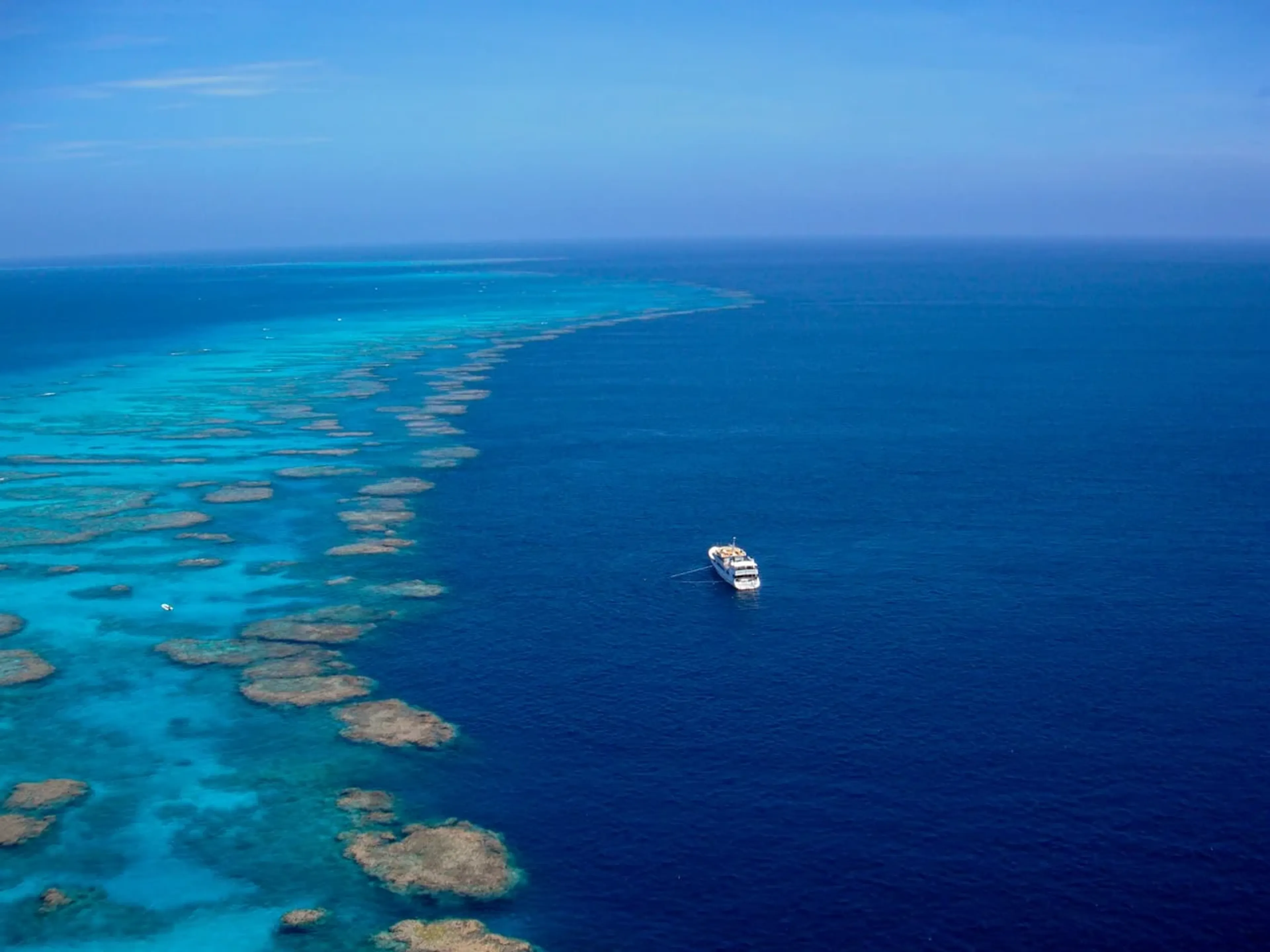 Tauchen am Osprey Reef in Australien