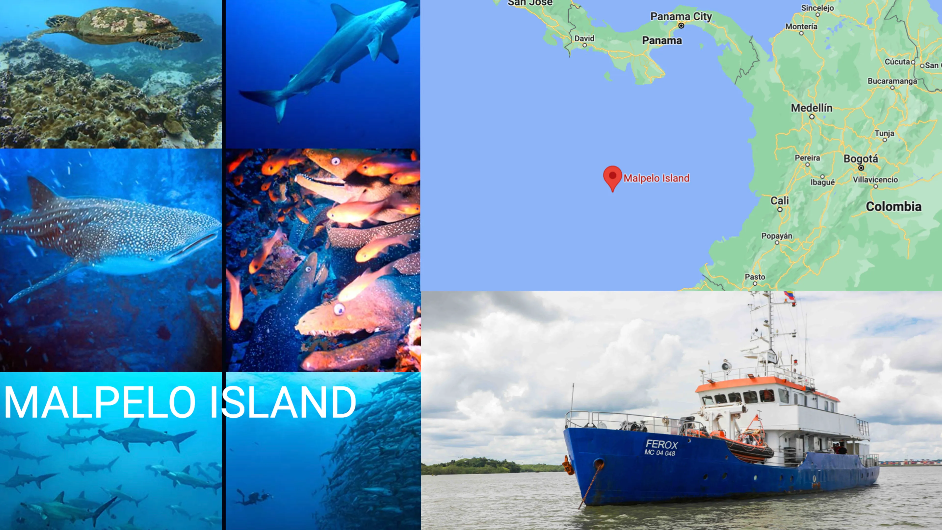 malpelo island liveaboard trip