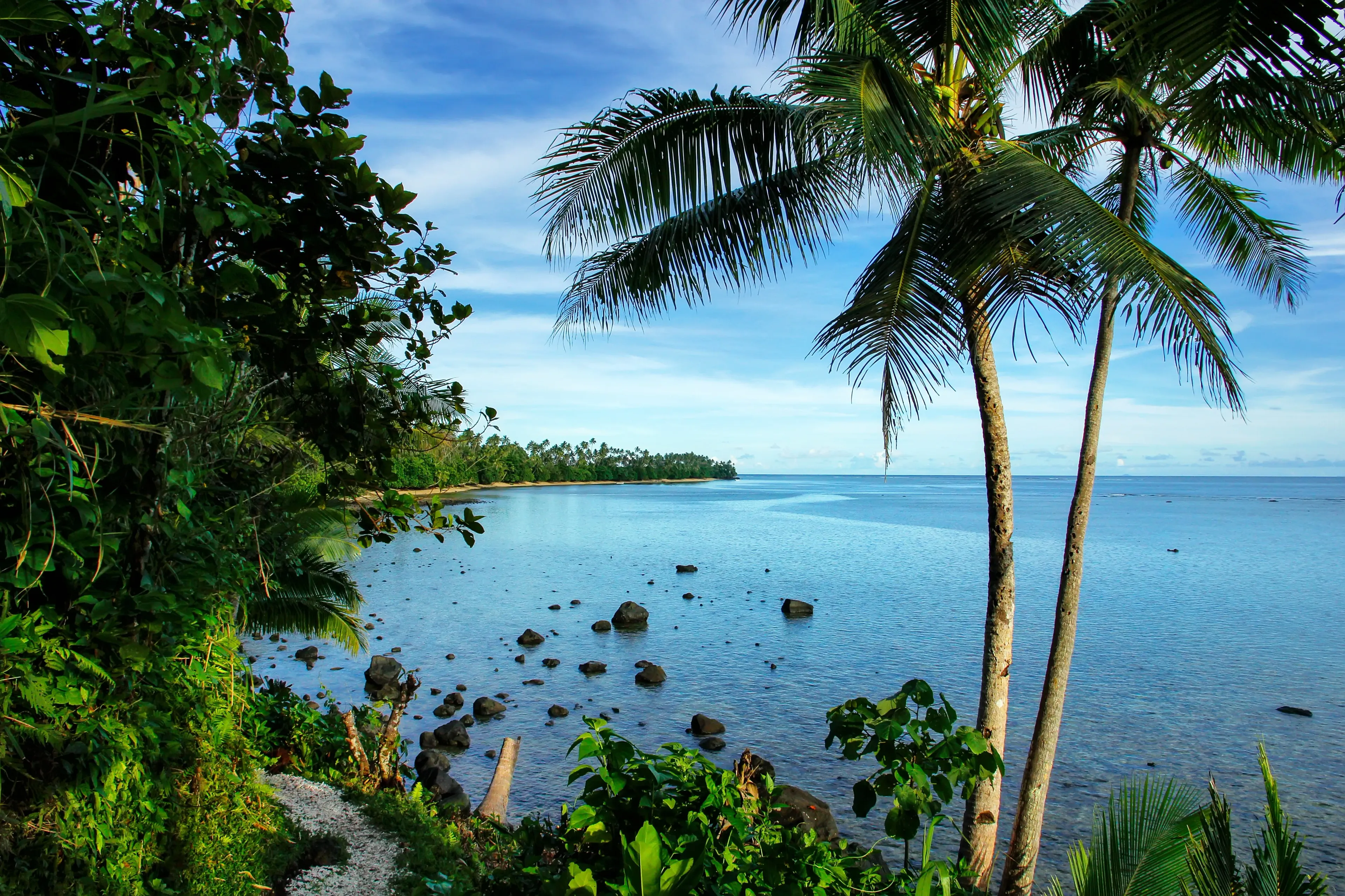 marche sur la côte de taveuni à fidji