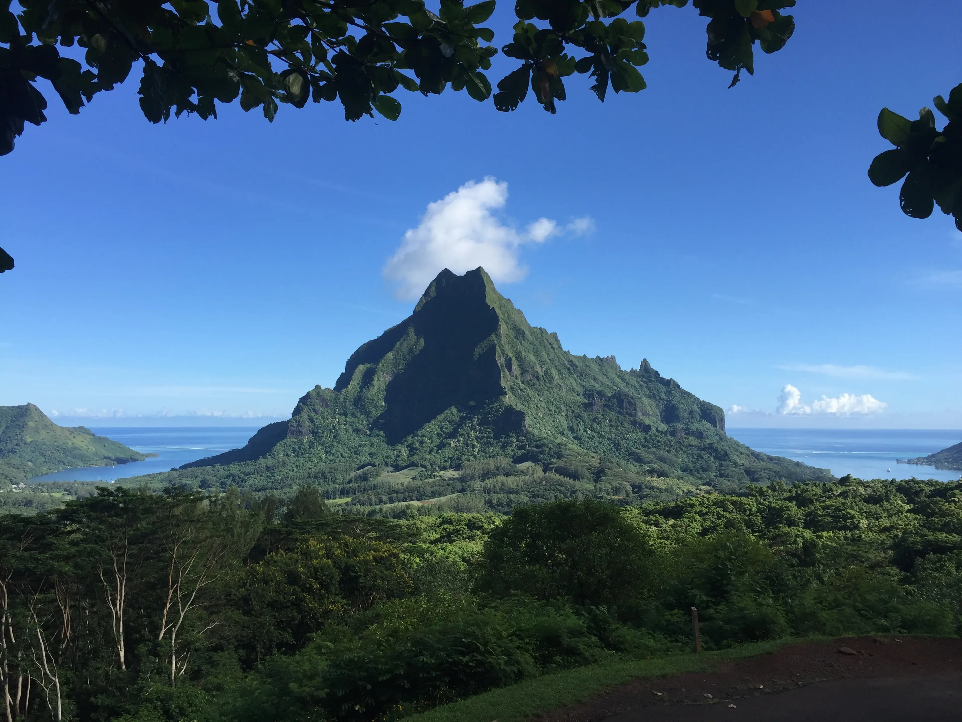 le belvedere de moorea