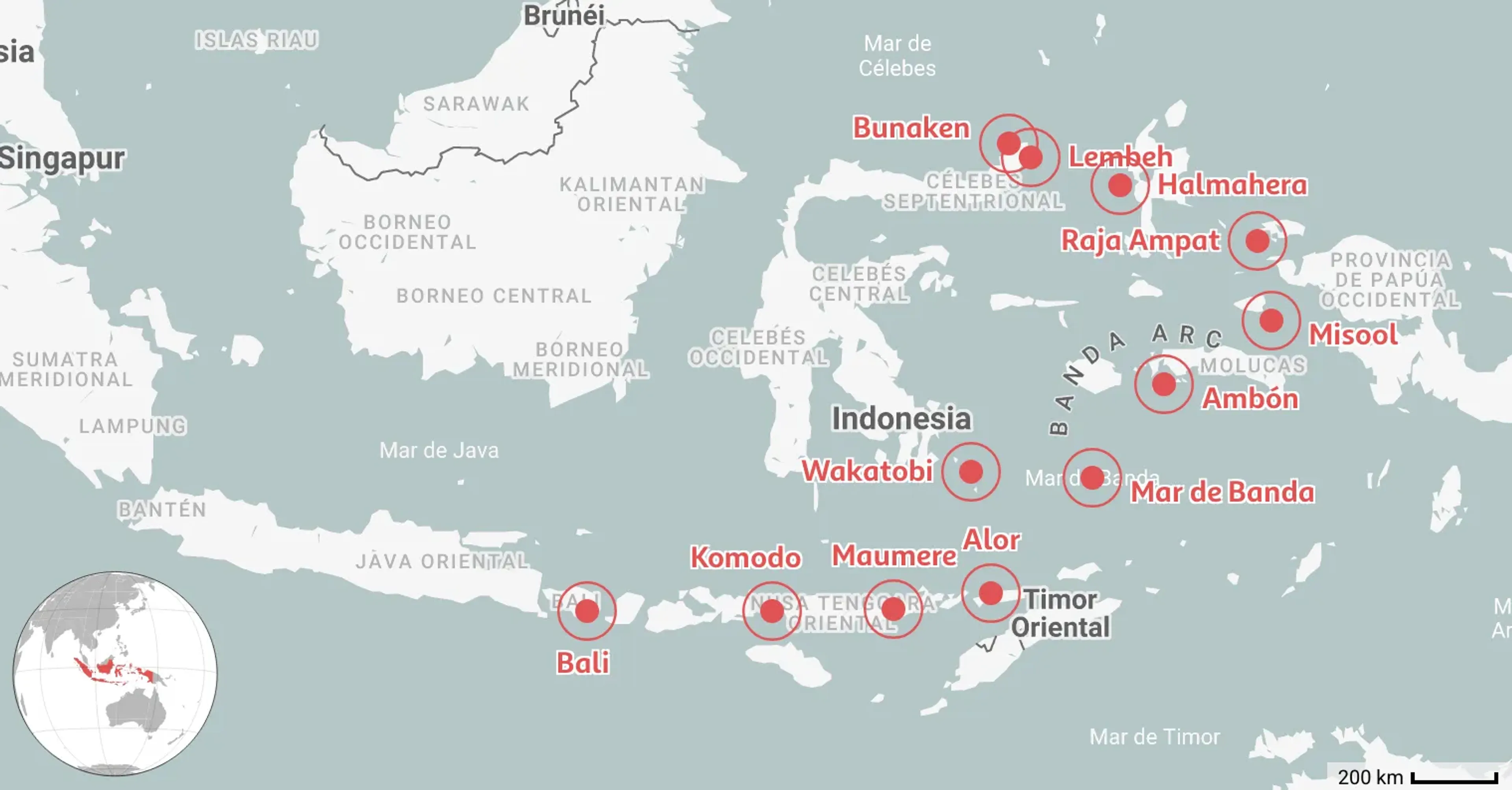 Mapeado: 12 Mejores Lugares para Bucear en Indonesia