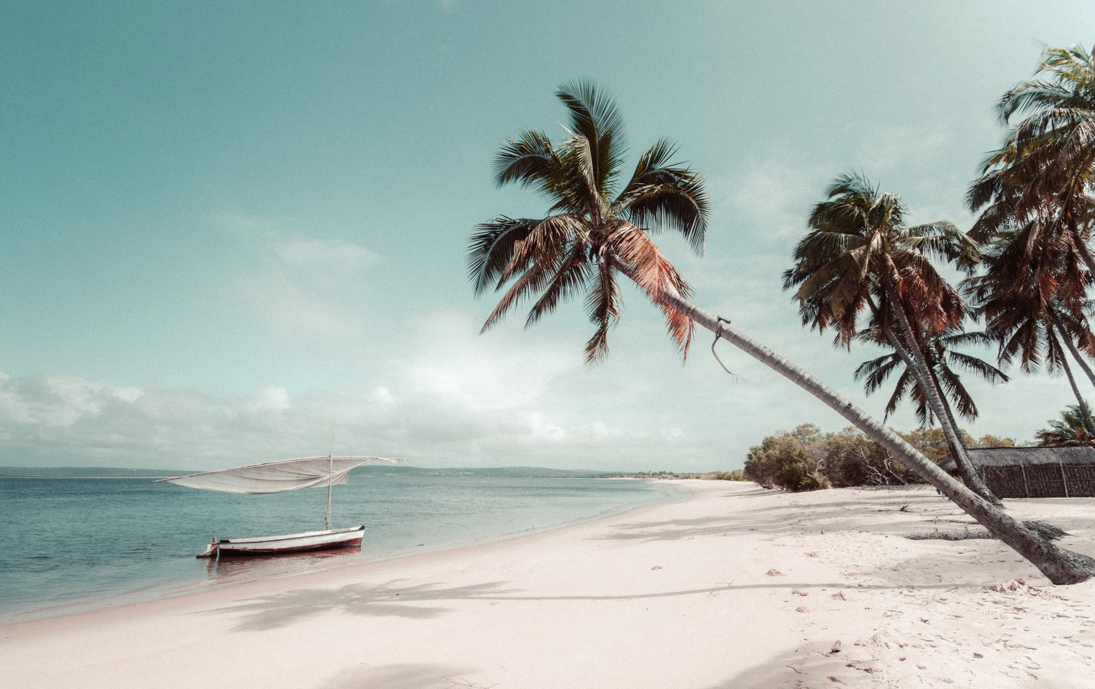 plongée dans les quirimbas au mozambique