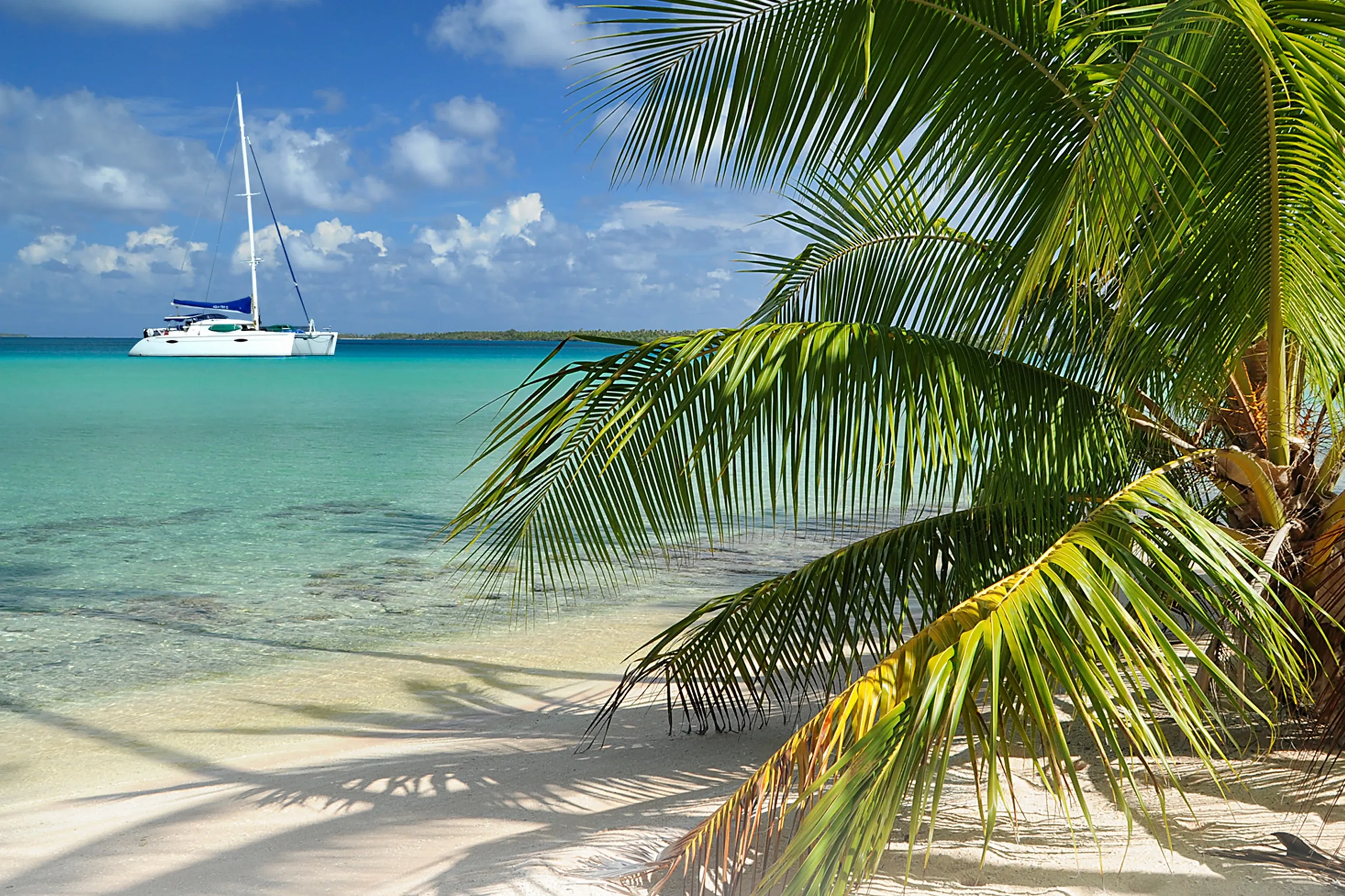 Plongez et explorez Fakarava en catamaran! 