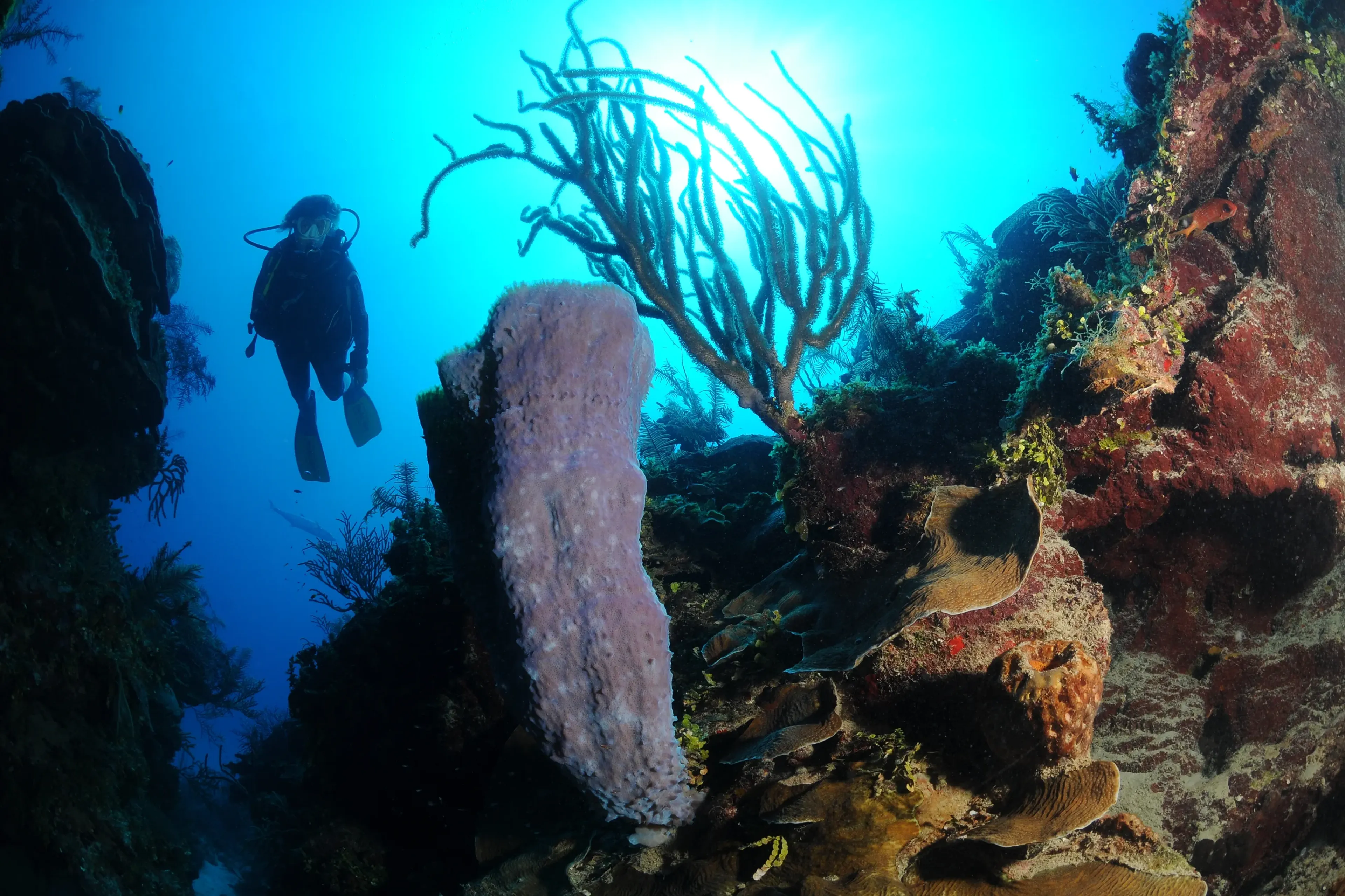 01_avalon_cuba_dsc_7177.webp