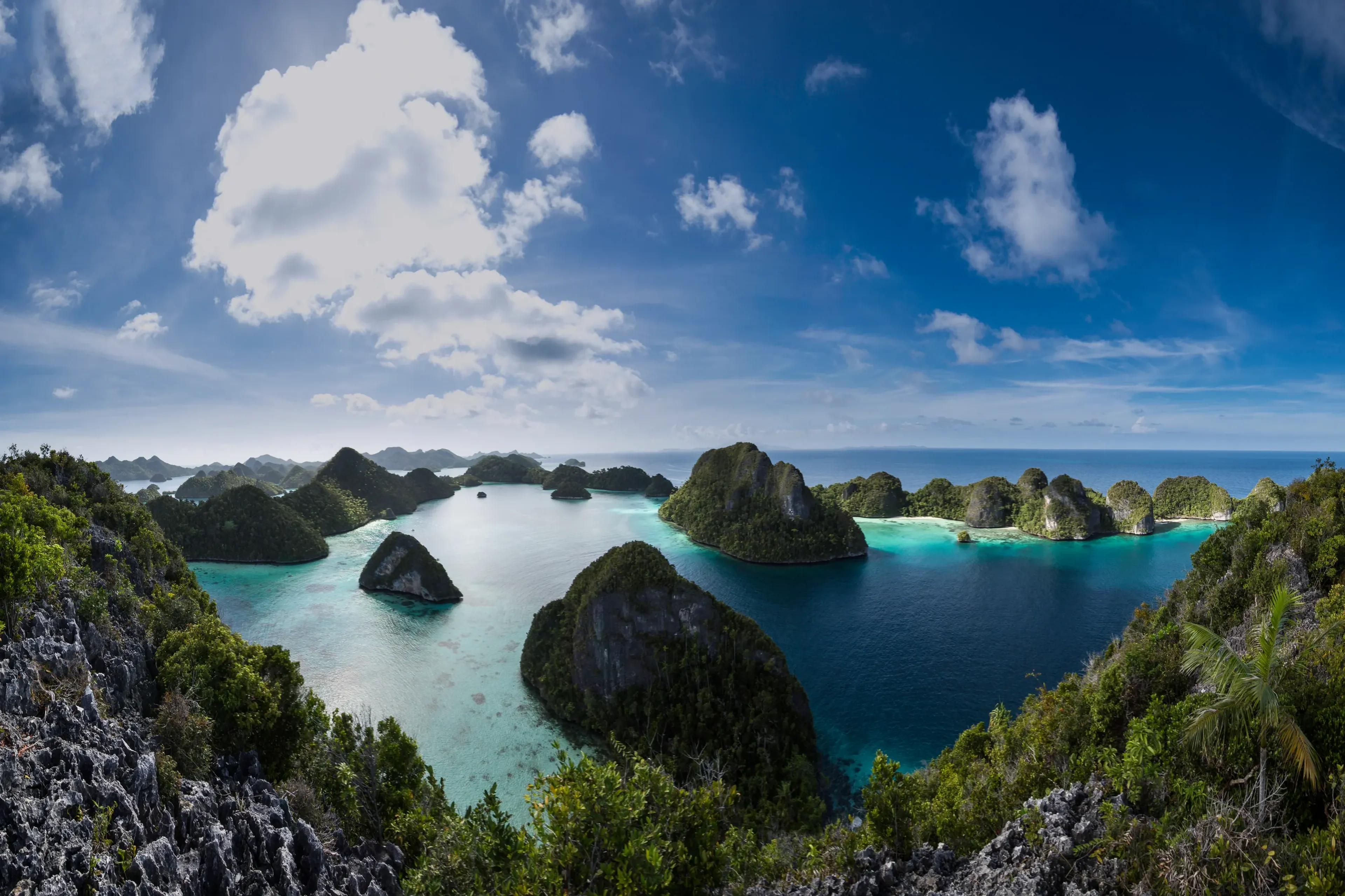 Dive All Raja Ampat With a Small Group of Reef-Friendly Divers!