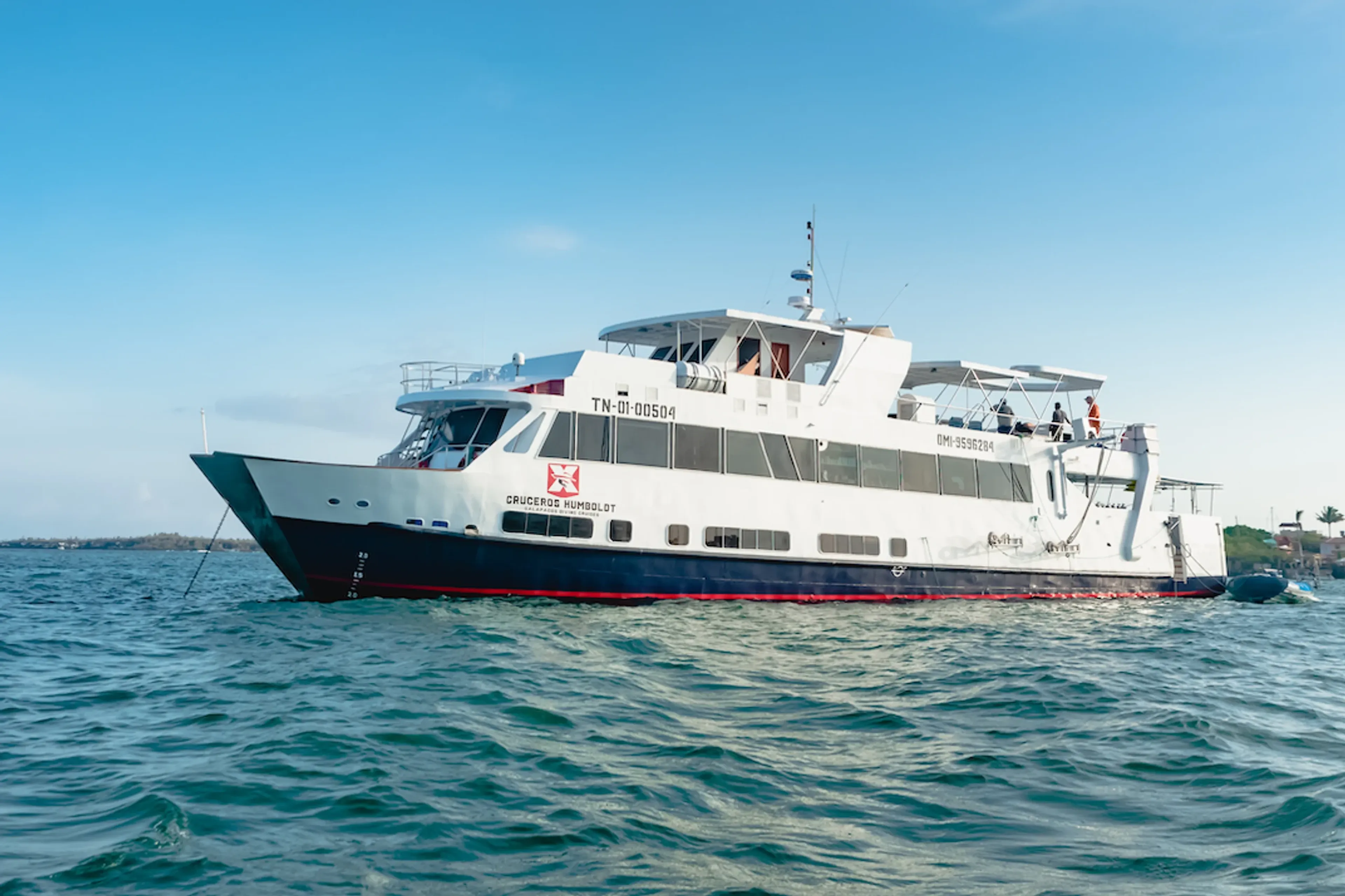 Plongez aux Galapagos avec encore plus de requins marteaux!