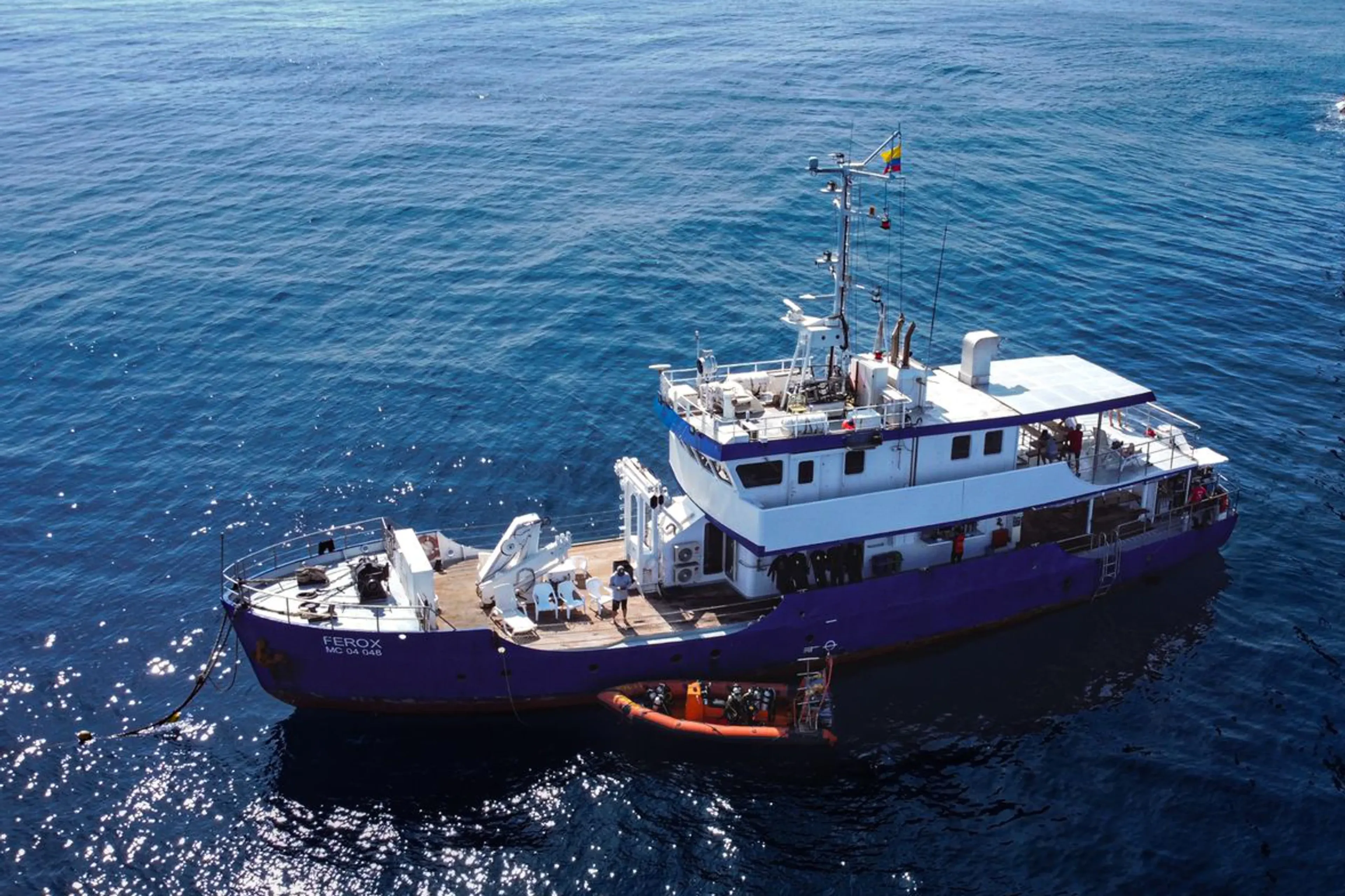 Bucea en Malpelo, un lugar de clase mundial con cientos de tiburones
