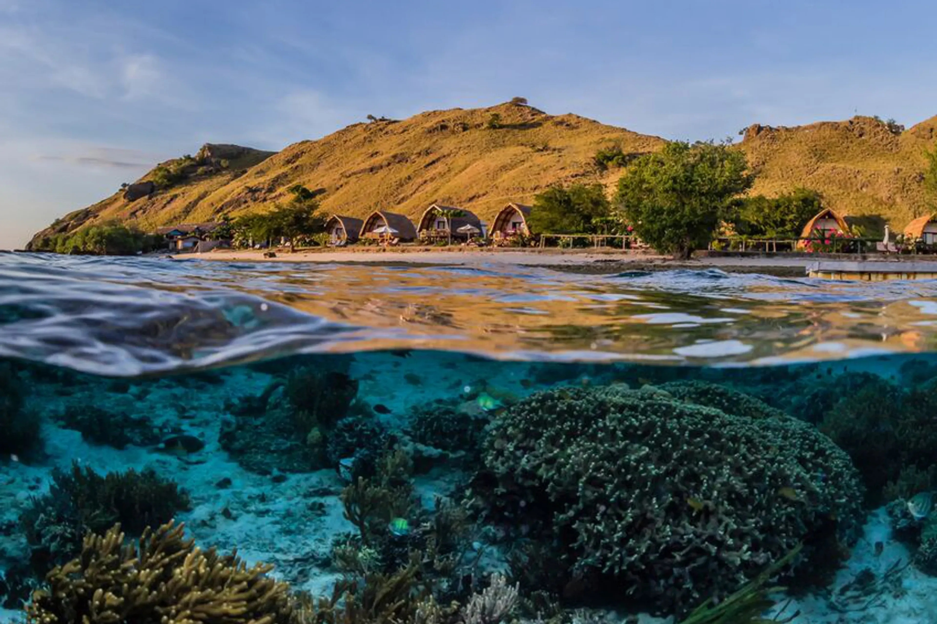 Dragons, Mantas and Island Life - This Is Komodo!