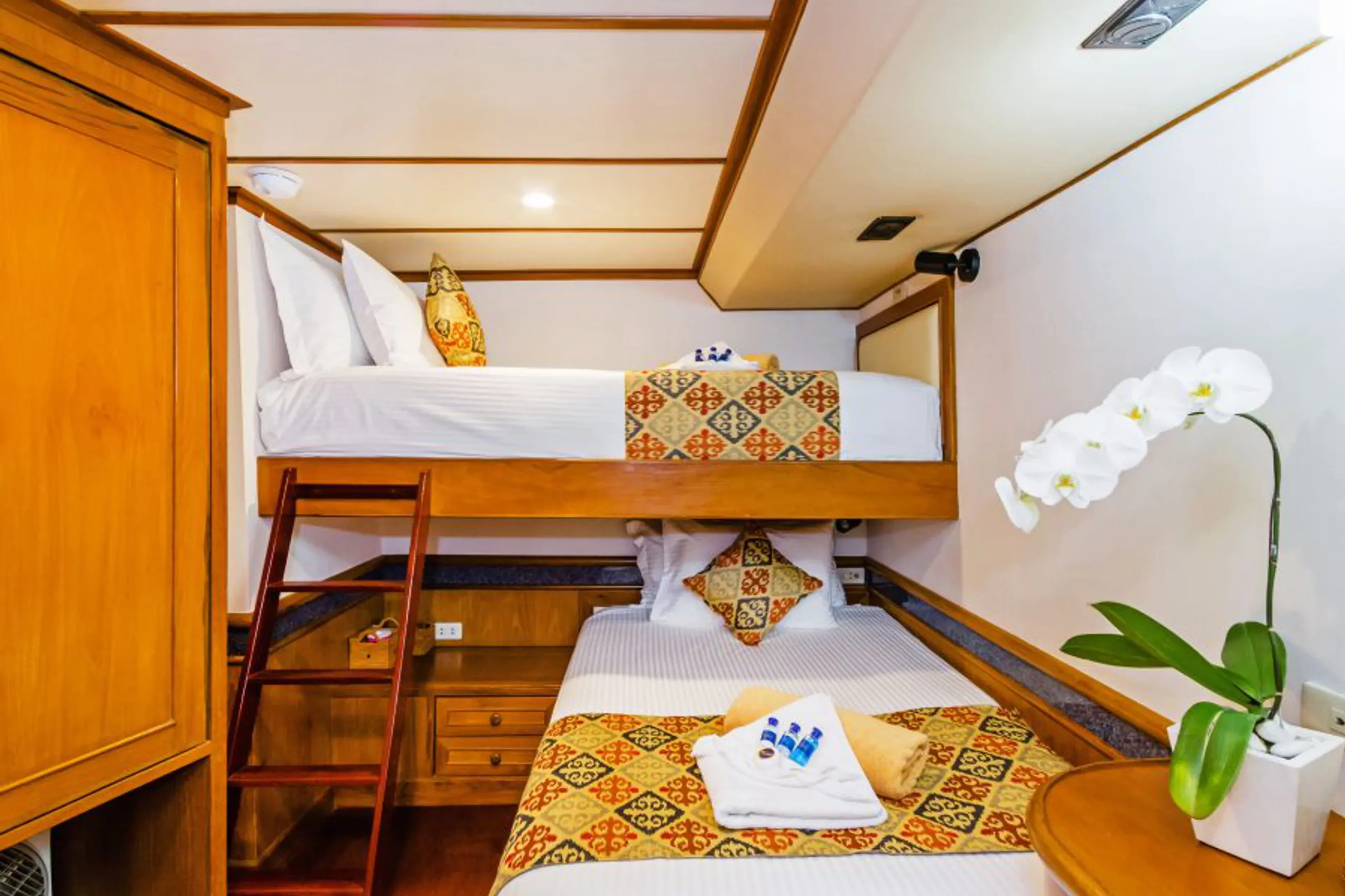 23_mermaid-liveaboards_banda-sea_mermaid-1-budget-cabin.webp