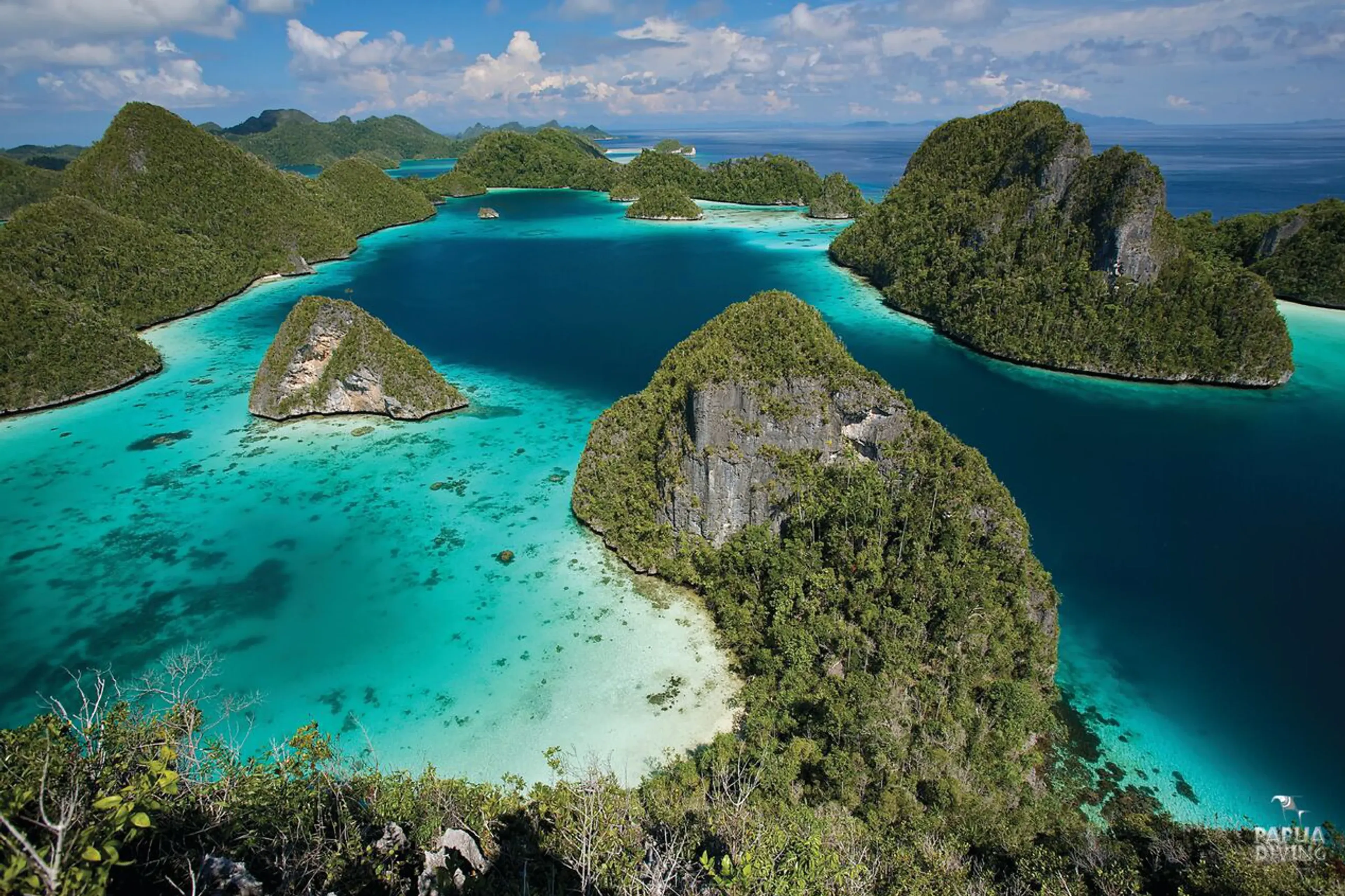 Discover Raja Ampat From Renown Cape Kri!