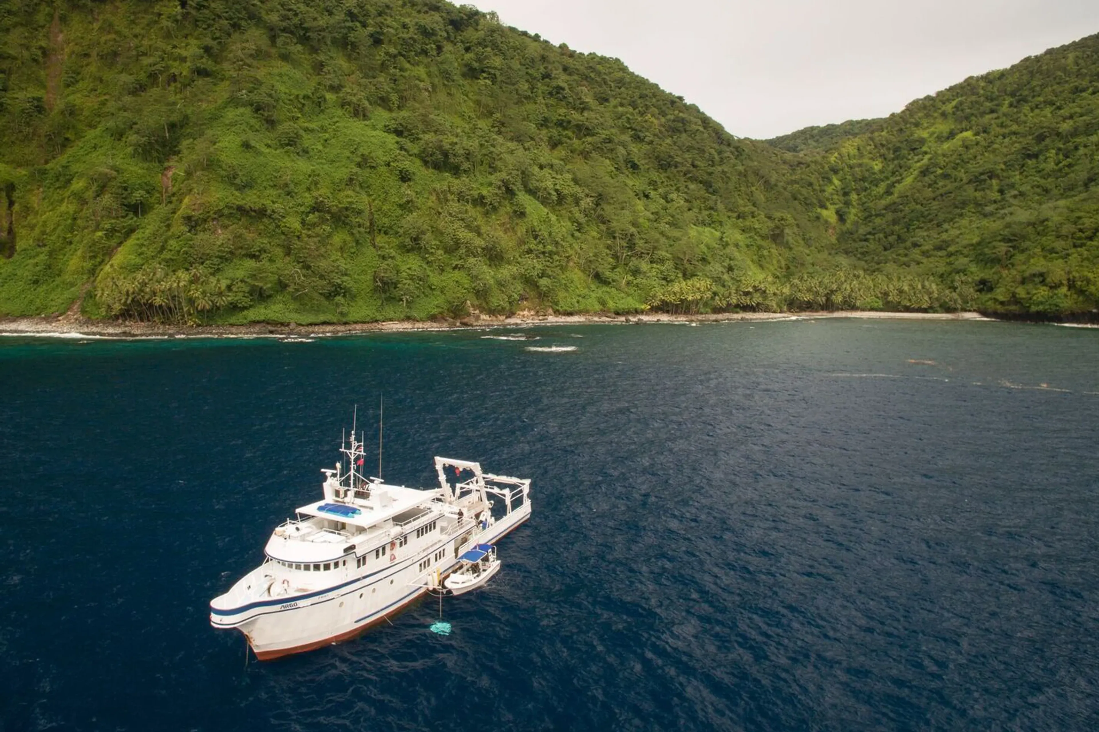 01_UnderseaHunter_Cocos_island_Cocos-2017.218.webp
