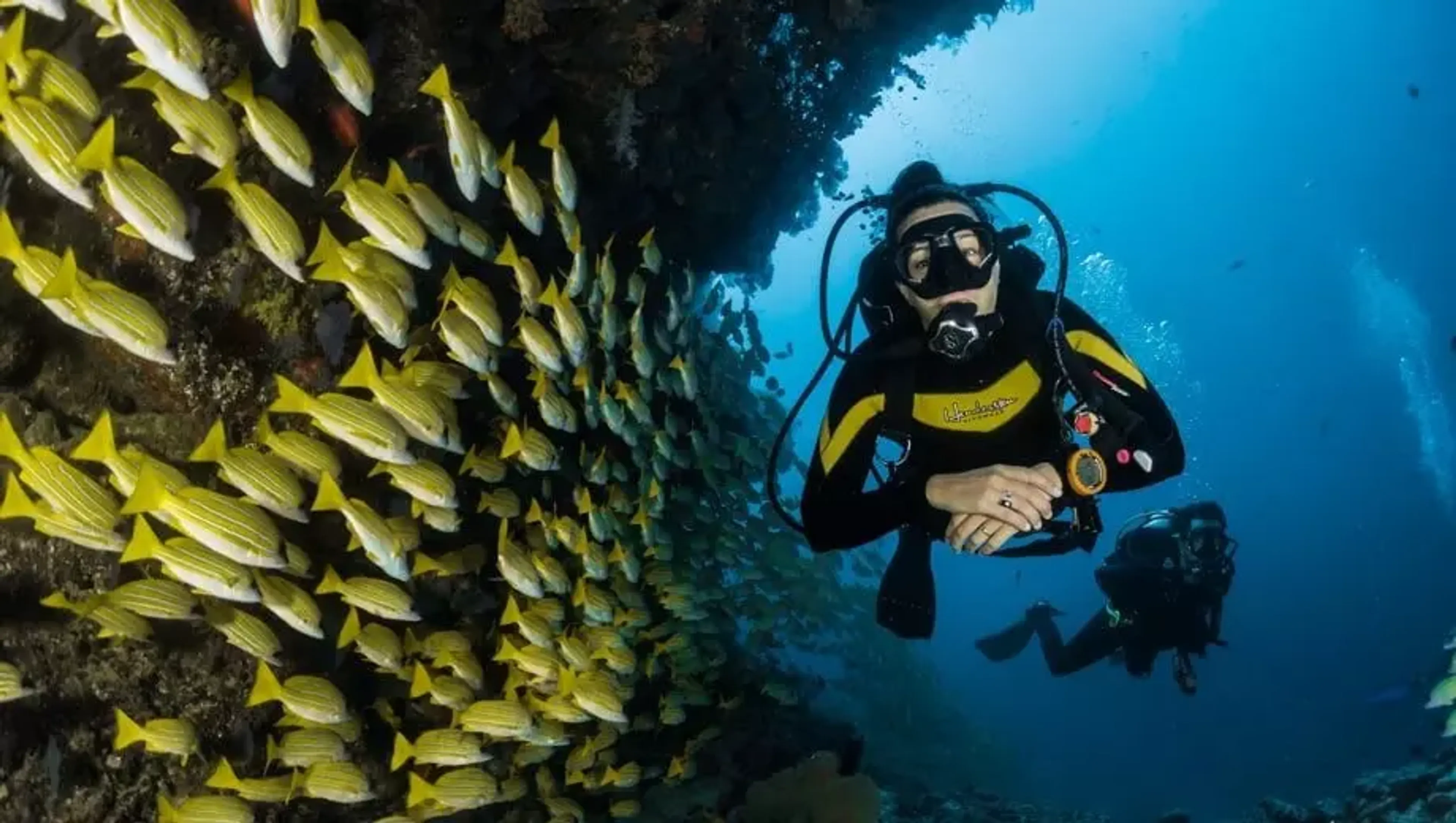 Responsible diver