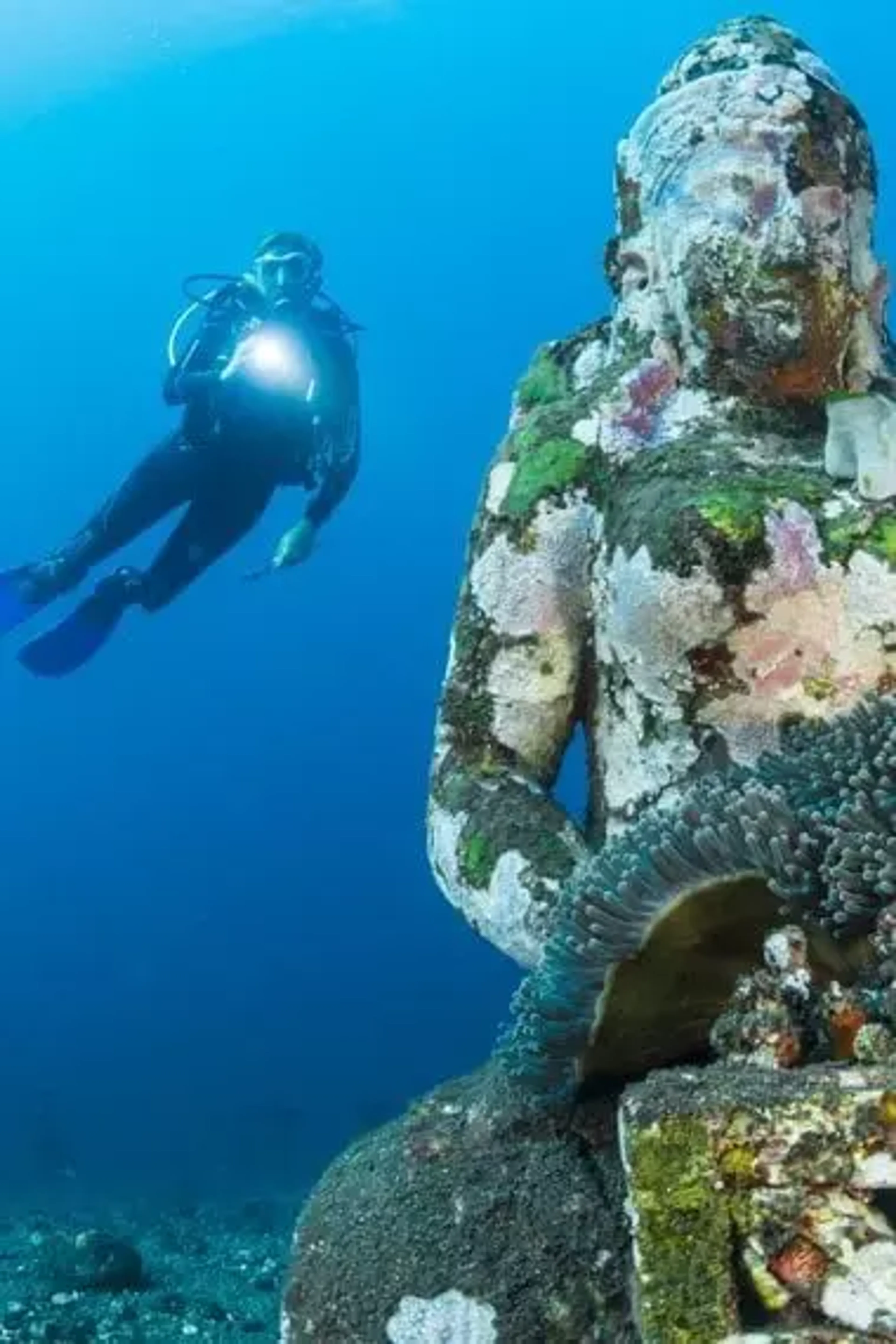 responsible-divers-desc